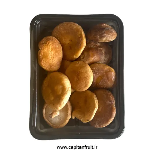 خرید آنلاین قارچ شیتاکه