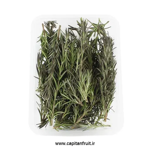 خرید آنلاین رزماری