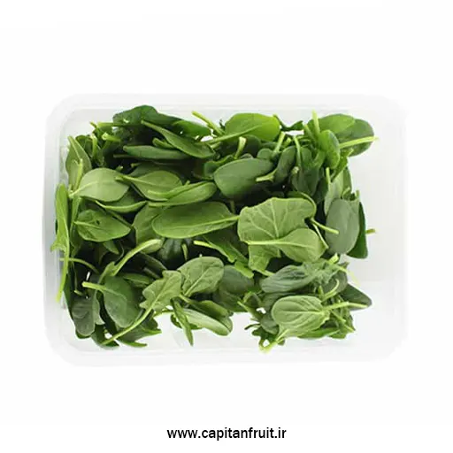 خرید آنلاین بی بی اسفناج