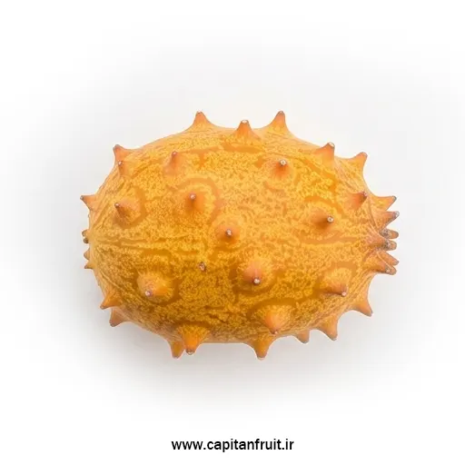 خرید آنلاین کیوانا